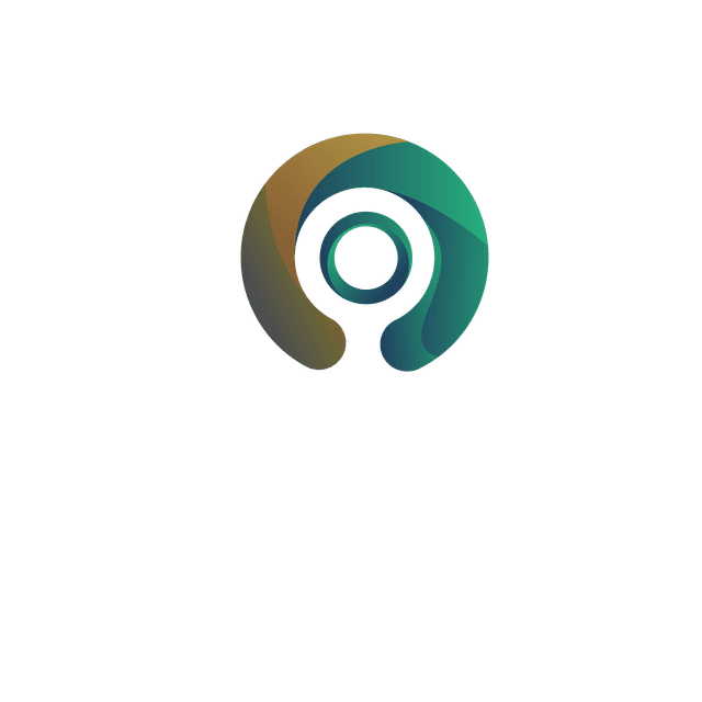Origa Network